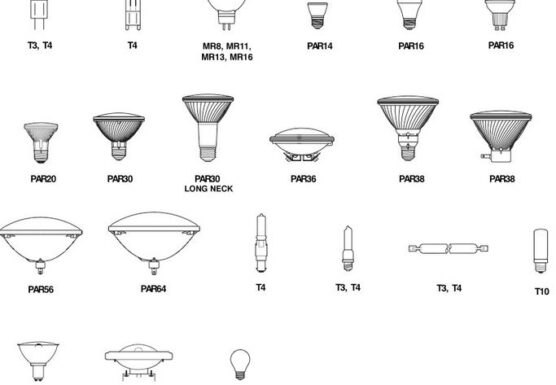 Types-of-halogen-bulbs-556x385.jpg